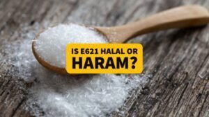 e621 Halal or Haram