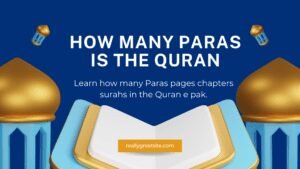 How Many Paras Is the Quran? Everything You Need to Know About Its Structure and Significance