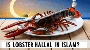 What is Lobster 